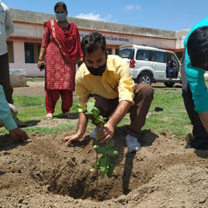 Rural Development and Environment Sustainability