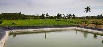 powering sustainability tomorrow image two