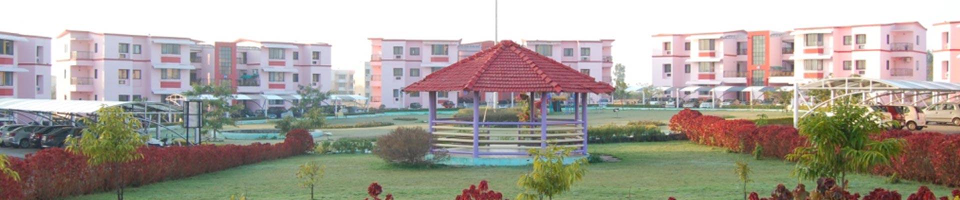 जेवीएस/ सहायक