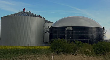 Sustainability Image